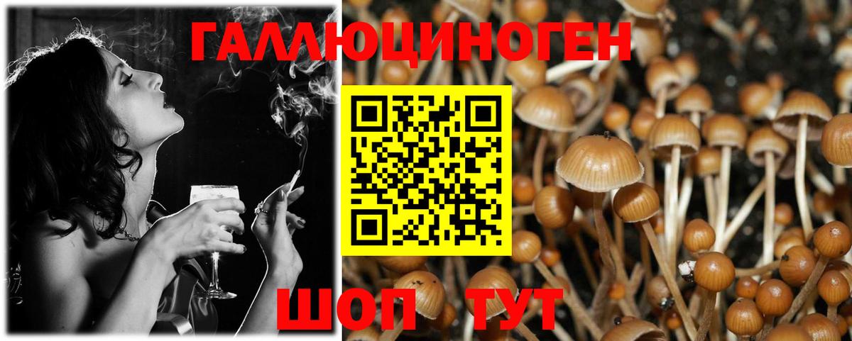 купить наркотики сайты  Вход с VPN  Псилоцибиновые грибы MAGIC MUSHROOMS  Волгодонск  Псилоцибиновые грибы мицелий 
